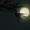 中秋只宜夜与月---漫漫如水浴清光