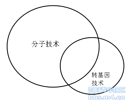 分子技术和转基因技术.jpg