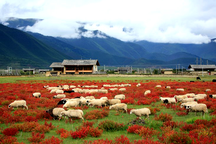 香格里拉