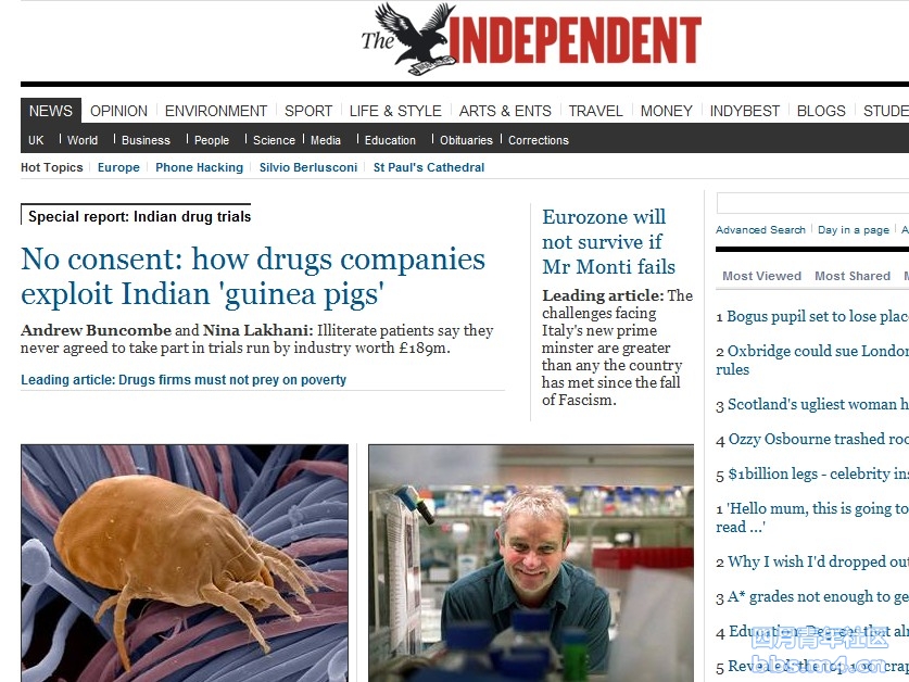 independent1114.jpg