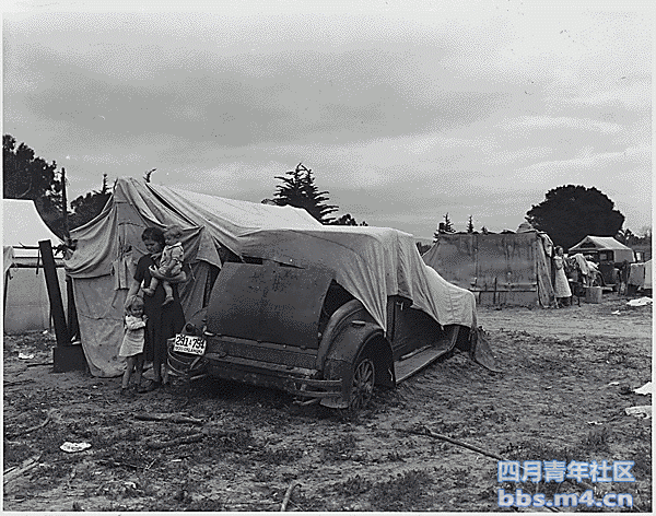 移民家庭在加利福尼亚州豌豆田找工作。 （1935年左右）