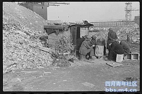 纽约市贫民窟失业工人的圣诞树（ 1937年12月）
