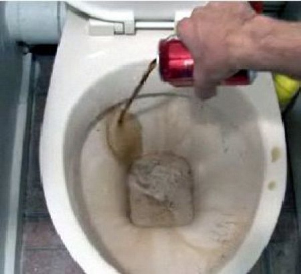 how-to-clean-toilet02.jpg