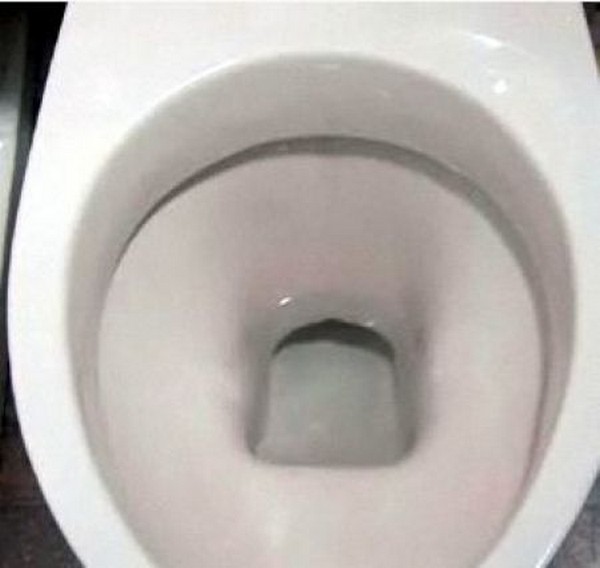 how-to-clean-toilet04.jpg