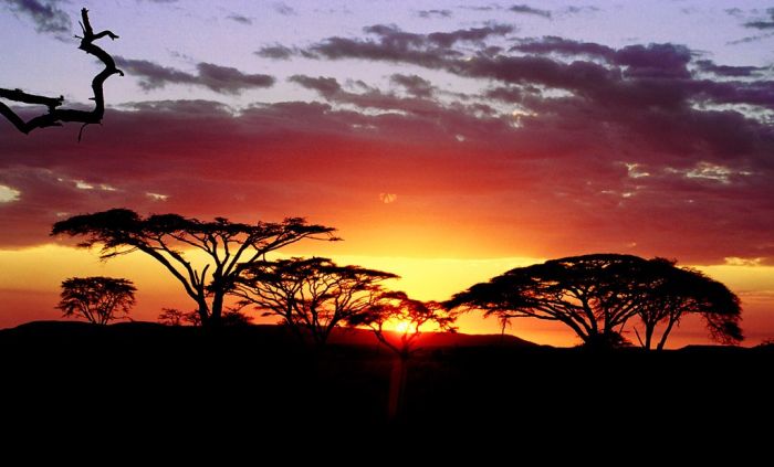 beautiful_photos_of_africa_07.jpg