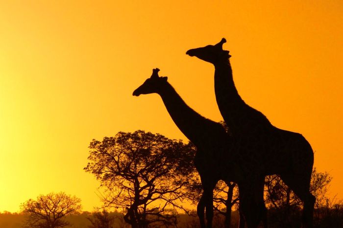 beautiful_photos_of_africa_26.jpg