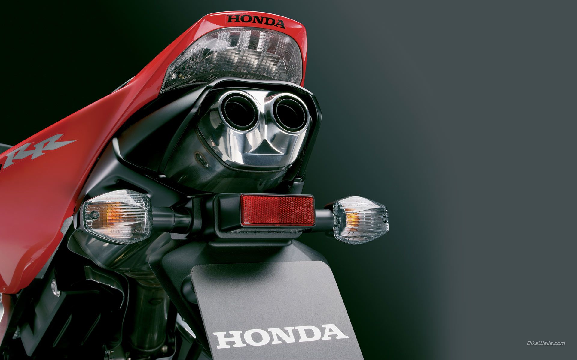Honda_0114.jpg