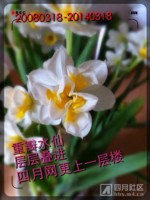 QQ图片20140306214317.jpg