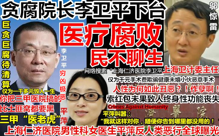 6向上海卫计委主任邬惊雷举报上海仁济医院院长李卫平贪腐成性女医生平萍残害平民.JPG.jpg