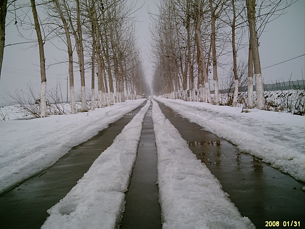 村里的公路,一直通到了湖边