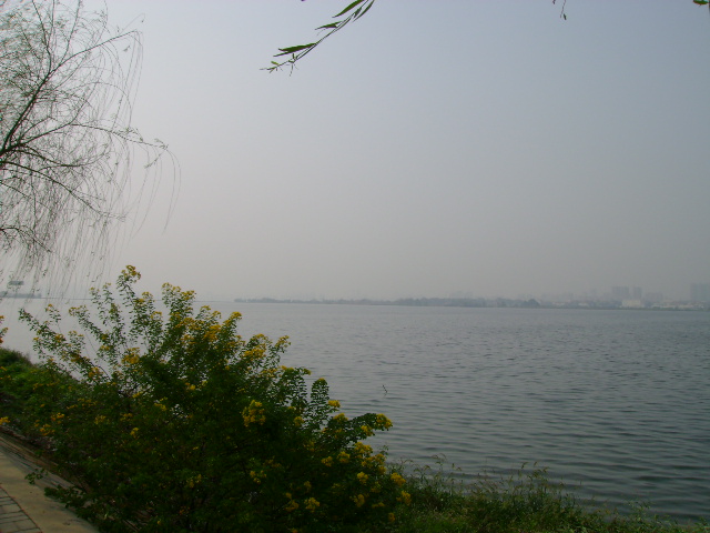 南湖（被同学狂菜过说俺有损南湖形象），湖北是千湖之省，湖真的很多的~~~ ...