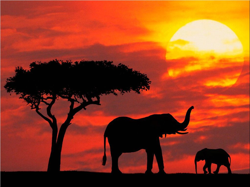Silhouetted_Kenya.jpg