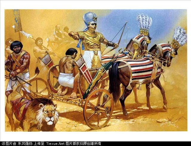 埃及骑兵.jpg