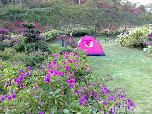 有一对情侣，在市花园的草地上搭了帐篷…….jpg