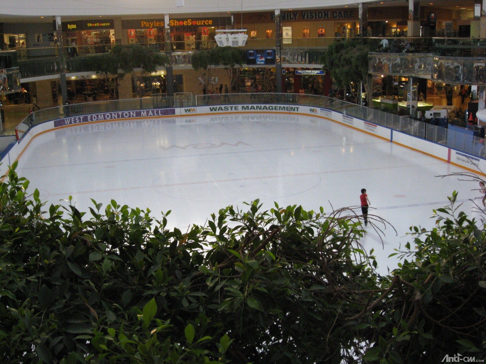 ice place3.JPG