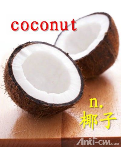 coconut----椰子.jpg