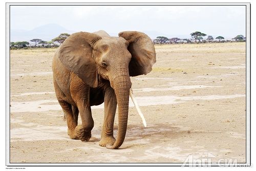 象--安博塞利国家公园.jpg
