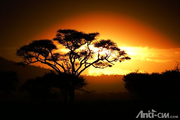 日落--塞伦盖蒂国家公园.jpg