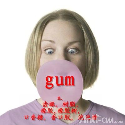 gum----口香糖.jpg