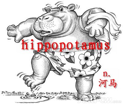 hippopotamus----河马.jpg