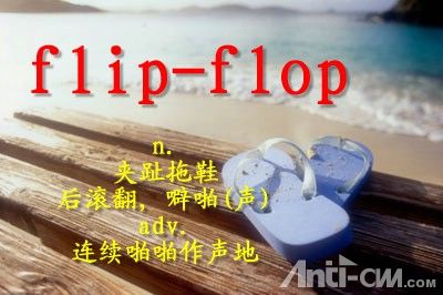 flip-flop----夹趾拖鞋.jpg