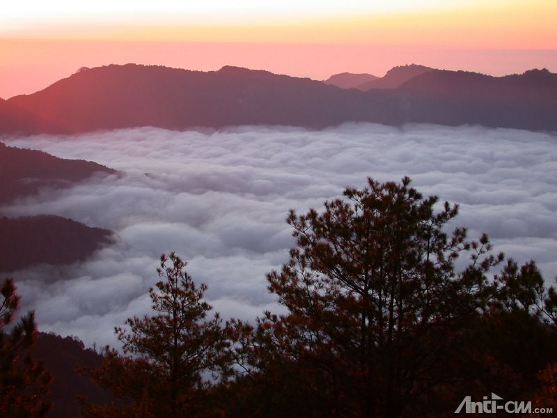 阿里山雲海.jpg