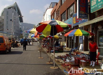 釜山码头渔市场－都是中年妇女当家