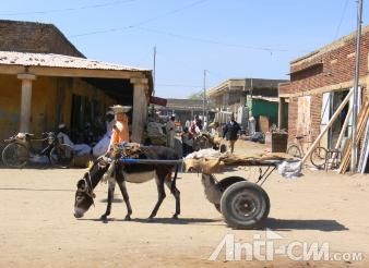 苏丹驴车.jpg