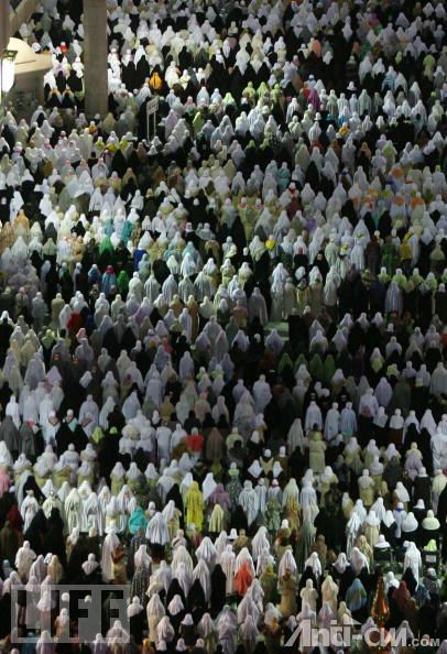 www.life.com_Crowd at the Mosque of the Prophet Mohammed_93027100.jpg