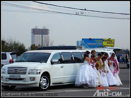 成群结队的新娘