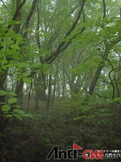 花花草草风光待机图片 (449).jpg