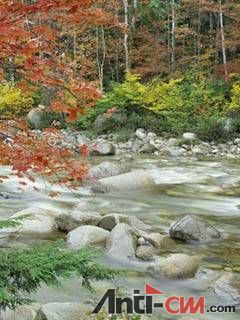 花花草草风光待机图片 (532).jpg