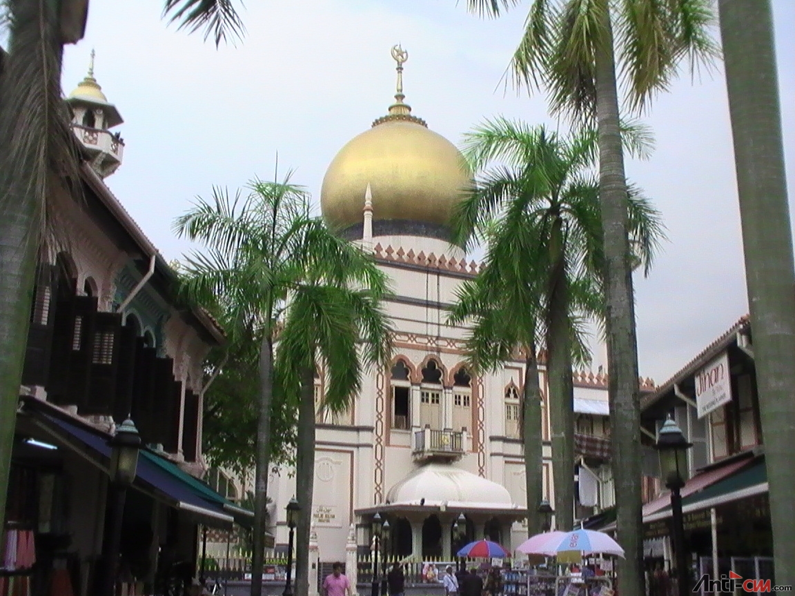 PIC_0131 新加坡最大的清真寺.JPG