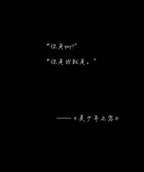 “你是Gay？” “你是我就是。”——美少年之恋.jpg