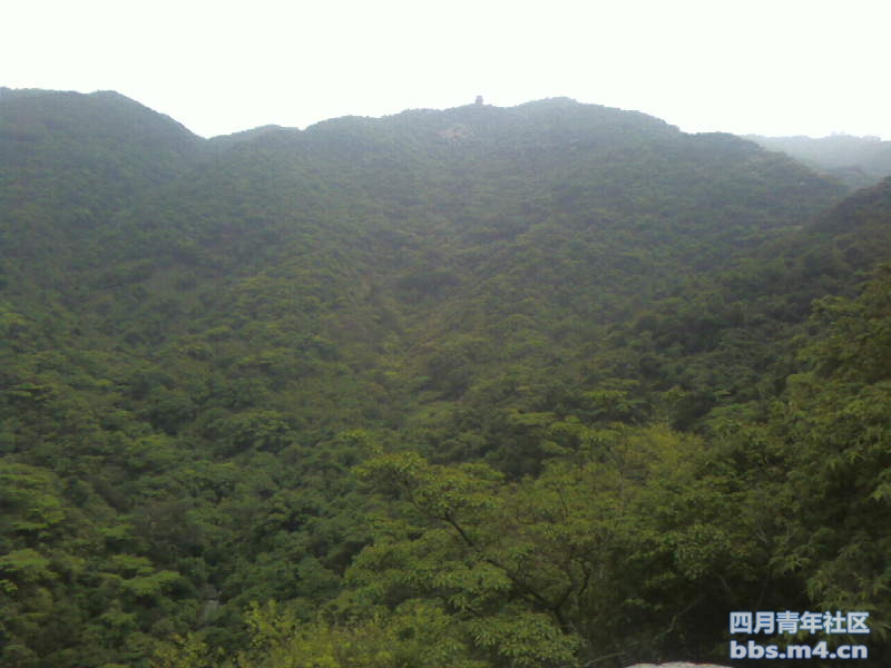 2011-5-1梧桐山 (3).jpg