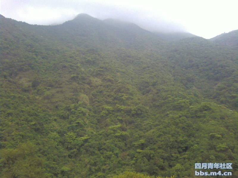 2011-5-1梧桐山 (4).jpg