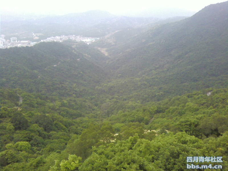 2011-5-1梧桐山 (10).jpg