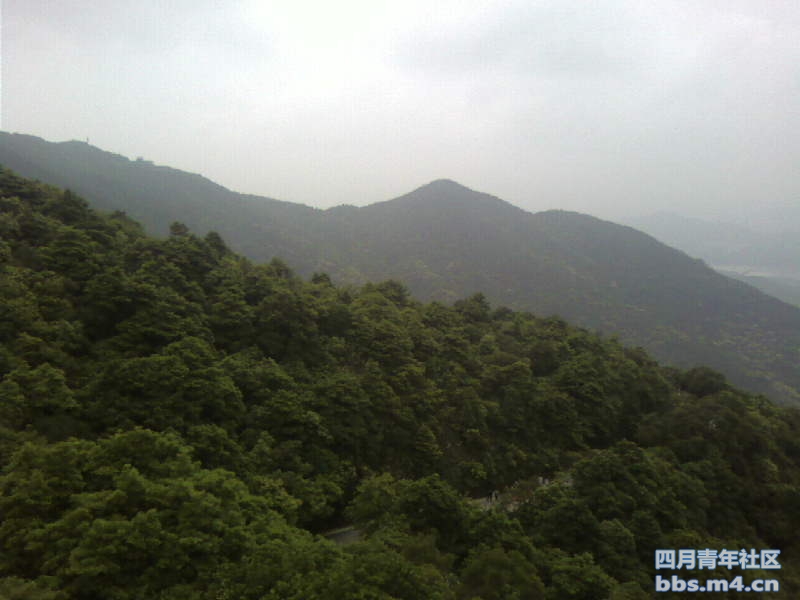 2011-5-1梧桐山 (13).jpg