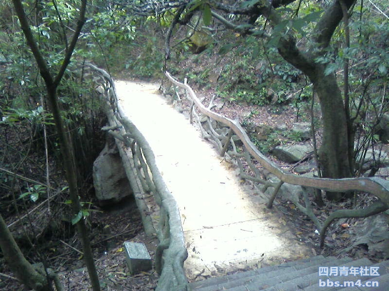 2011-5-1梧桐山 (24).jpg